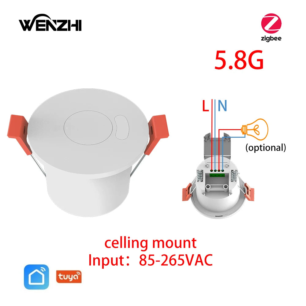 Motion Sensor Light Switch