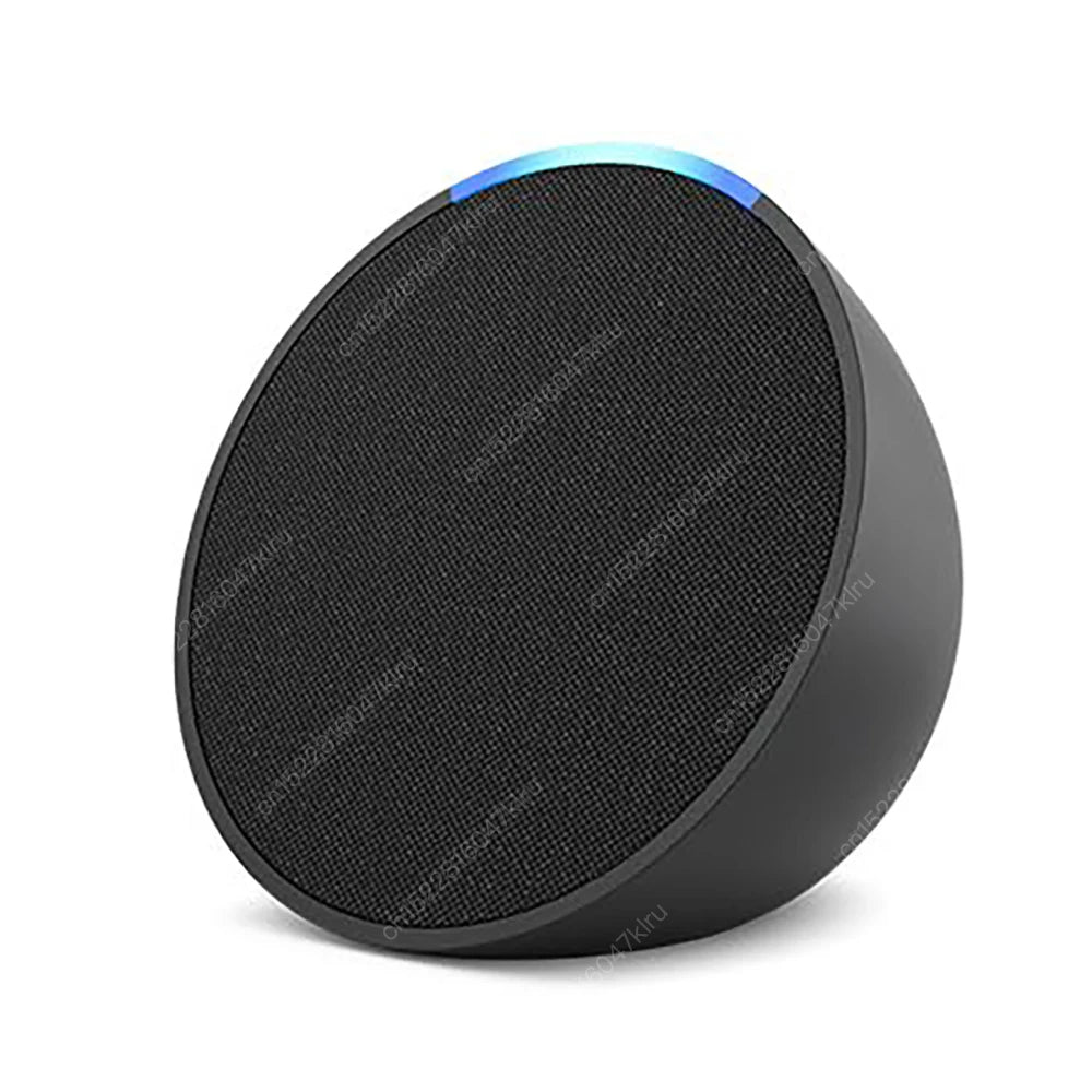 Wifi   BT Alexa Speaker