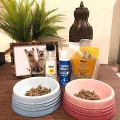 Ceramic colored cat bowl