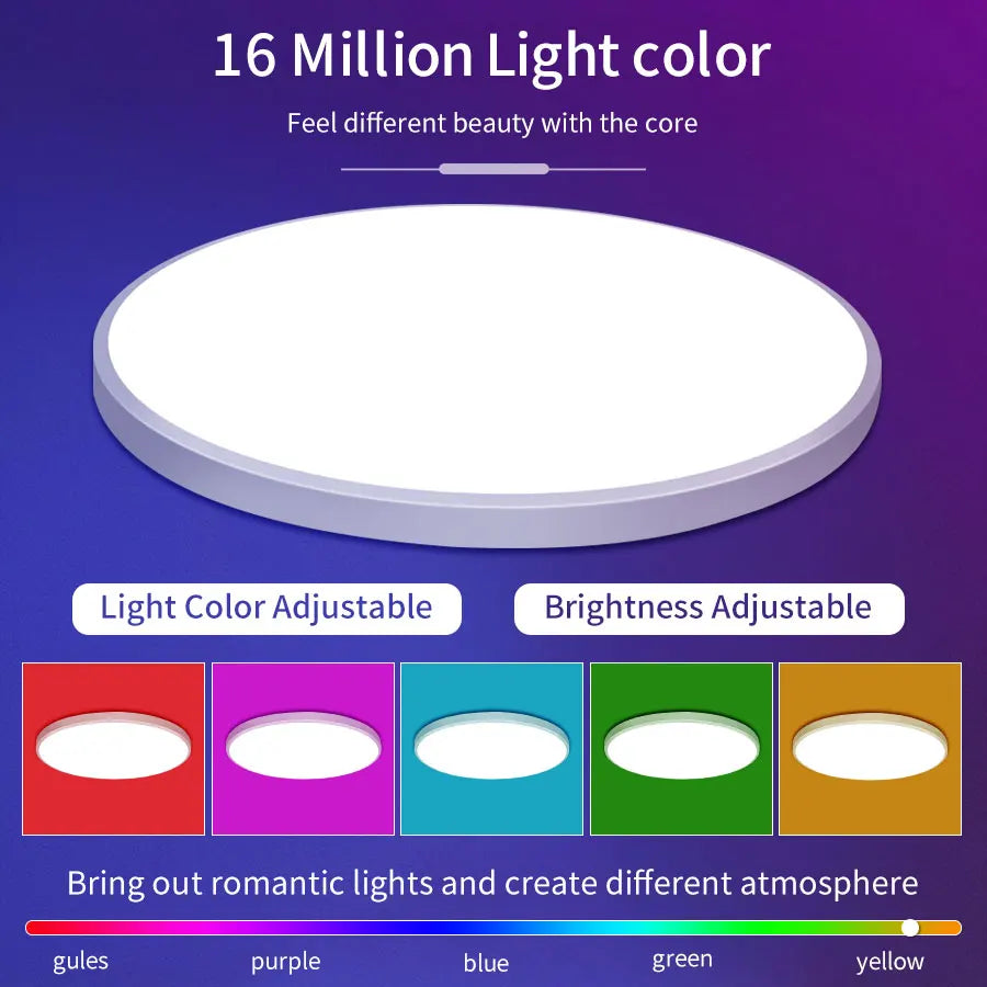 Smart WiFi LED Ceiling Light