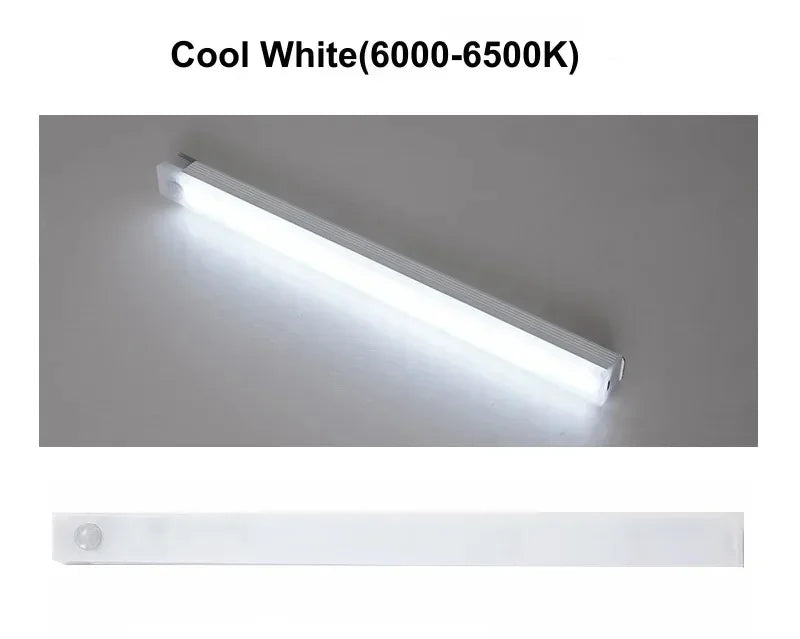 Portable Indoor Lighting  Lamps
