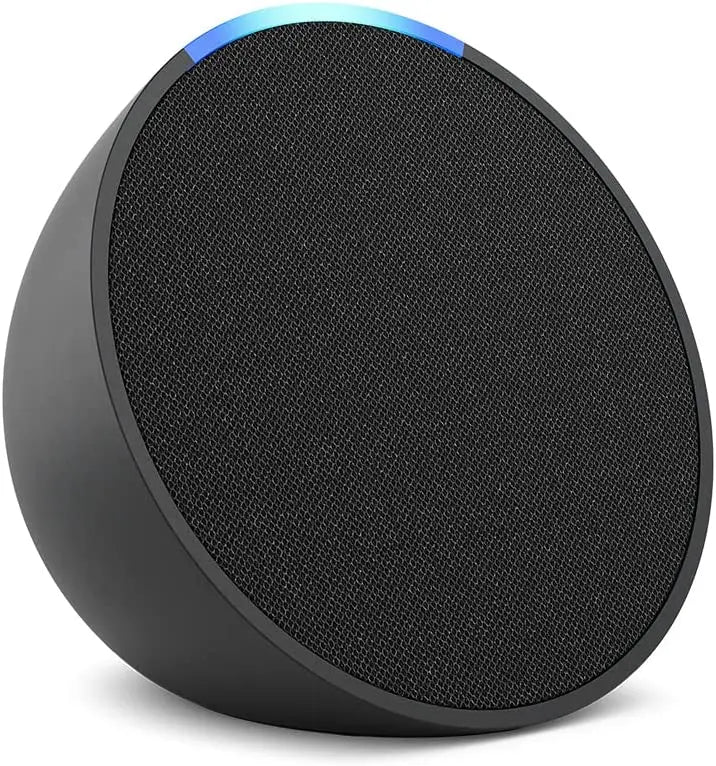Portable  Smart Speaker