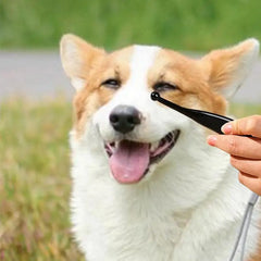 Pets Eye Comb