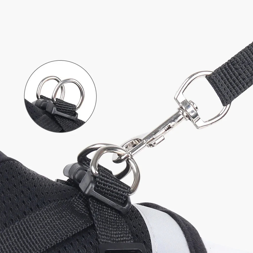 Cat Harness Lead Leash Set