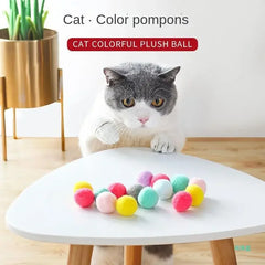 Cat   Interactive  Training Toy