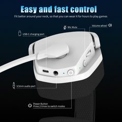 Dual Wireless Gaming Headset
