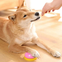 Dogs Training Bells