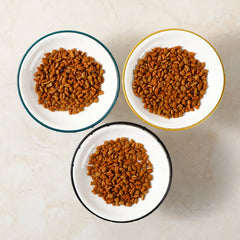 Whisker-Friendly Cat Bowl