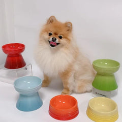 Ceramic colored cat bowl