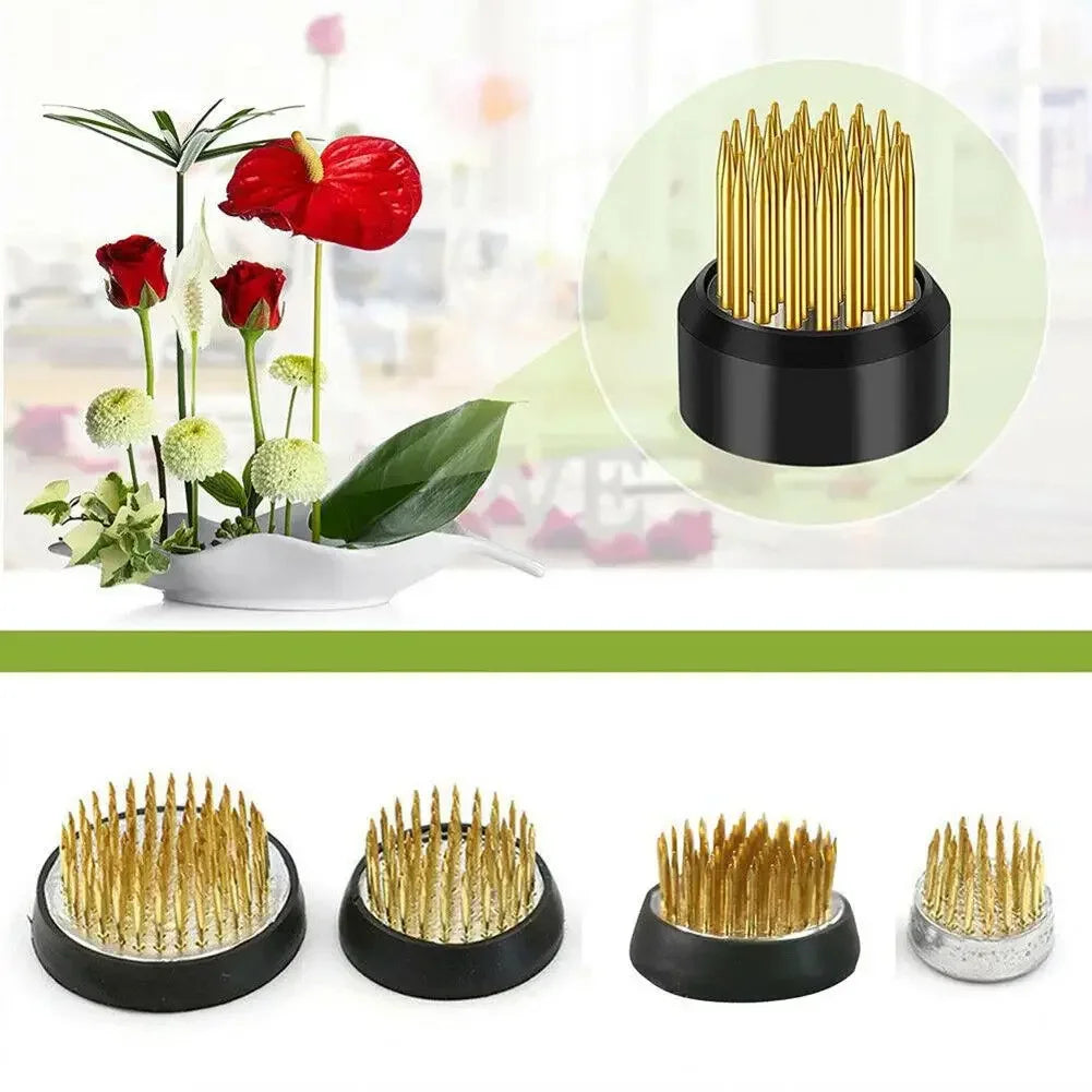Round Flower Frog Holder