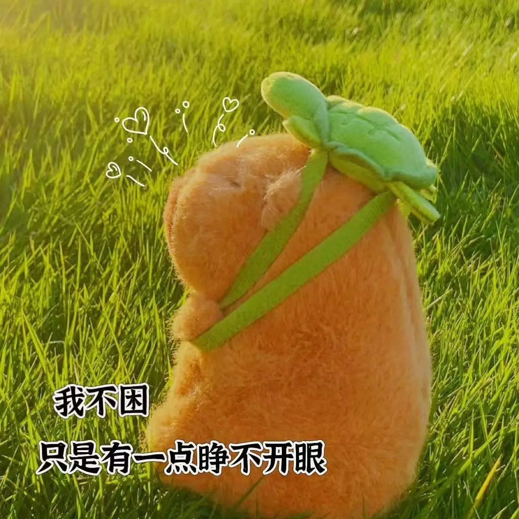 Cute Turtle   Doll Kids Toys