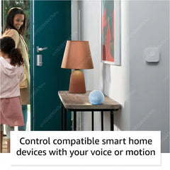 Wifi   BT Alexa Speaker