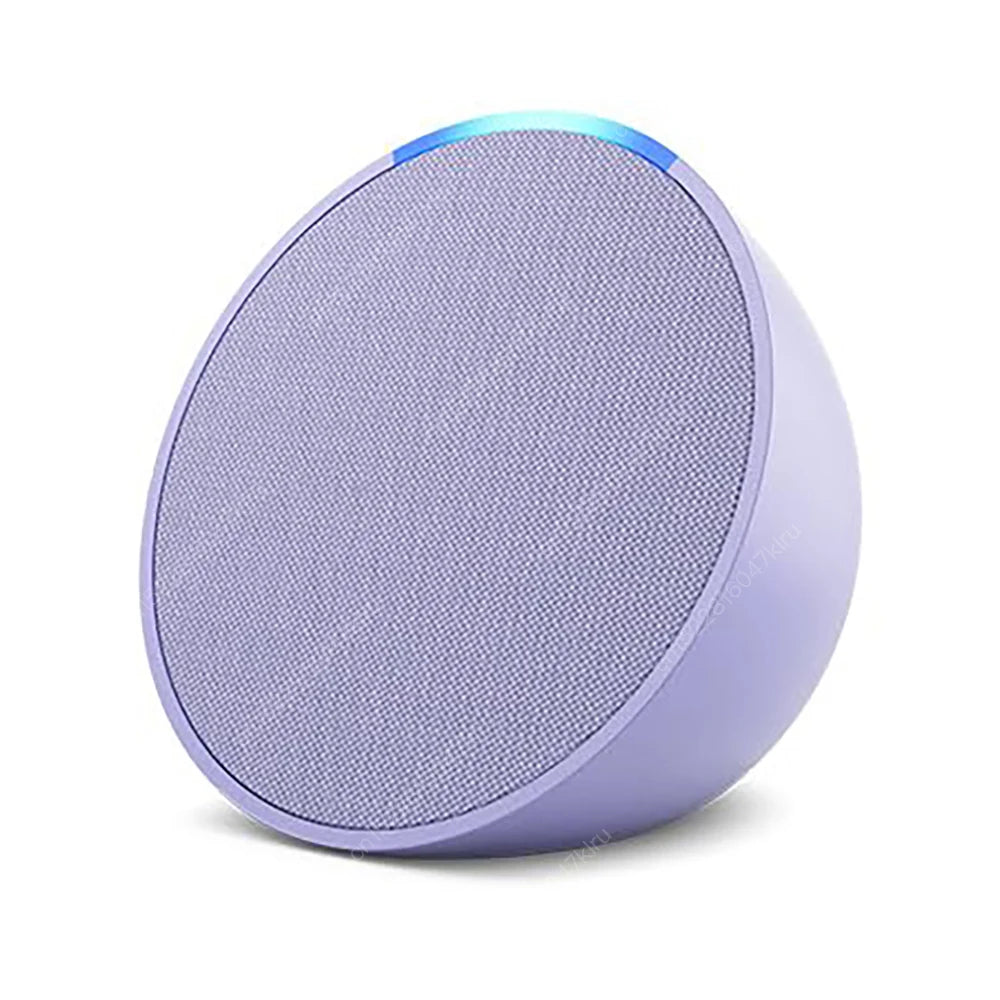 Wifi   BT Alexa Speaker