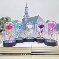 Eternal Rose Light Party Decor
