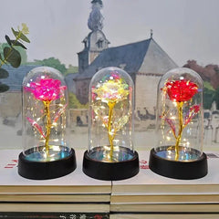 Eternal Rose Light Party Decor