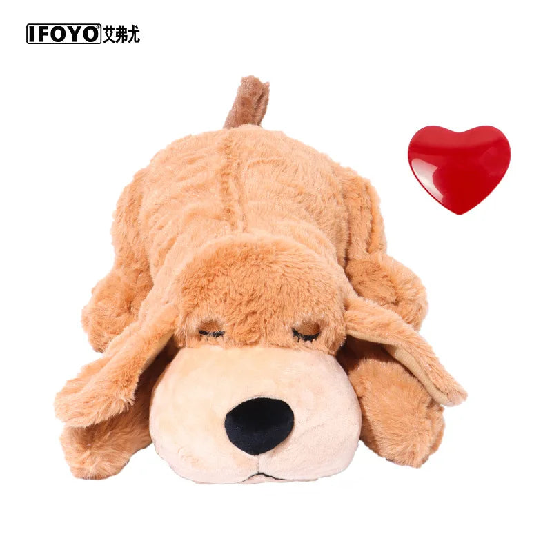 Puppy Behavioral Training Dog
