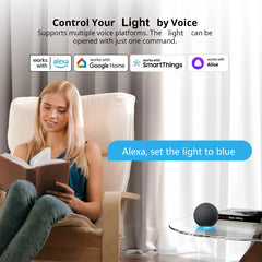 Smart Wifi Led Light Bulb