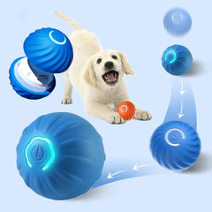 Dog Smarts Bouncing Ball