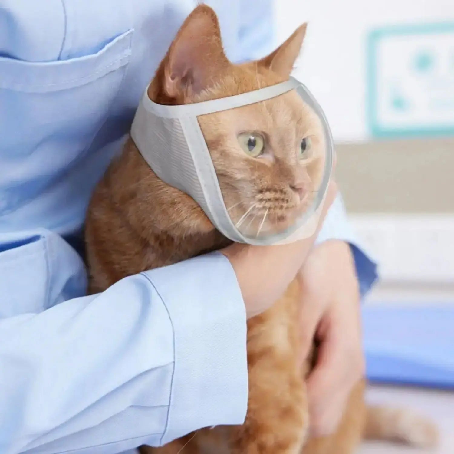 Cat Anti Bite Muzzles Helmet