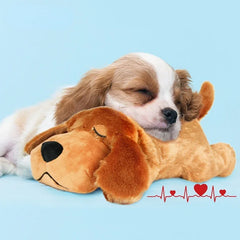 Puppy Behavioral Training Dog