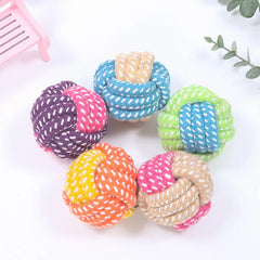 Chew Puppy Toy
