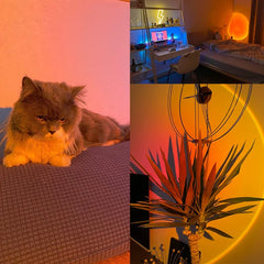 USB Sunset Light