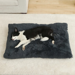 Soft Dog Beds