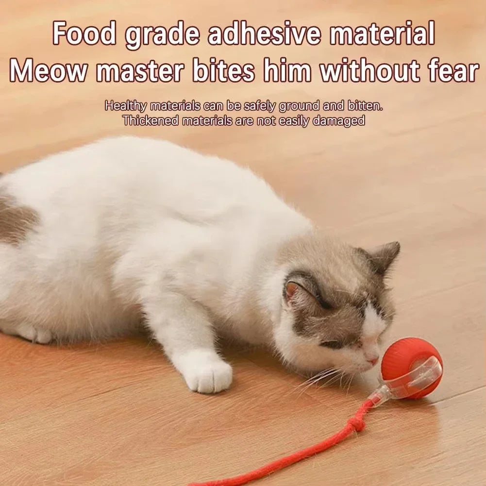 Interactive Cat Toys Ball