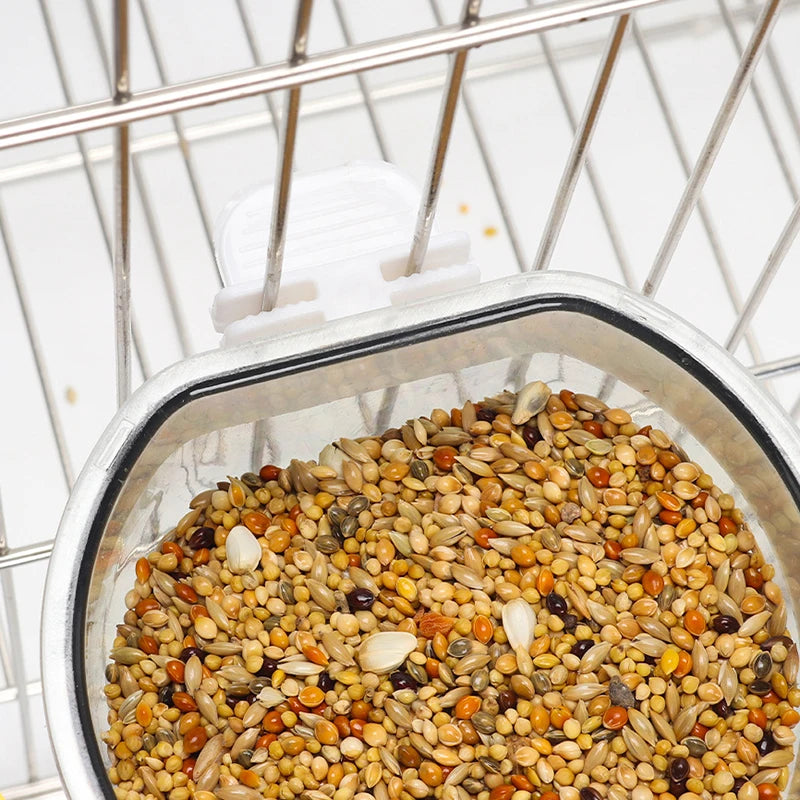 Bird Feeding Bowl