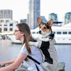 Strong Nylon Dog Carrier