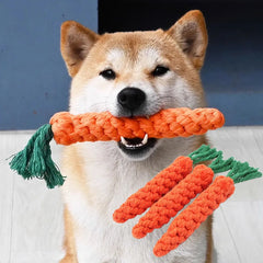 Carrot Dog Bite Toys